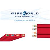 Câble RJ 45 Starlight Cat 8 Ethernet